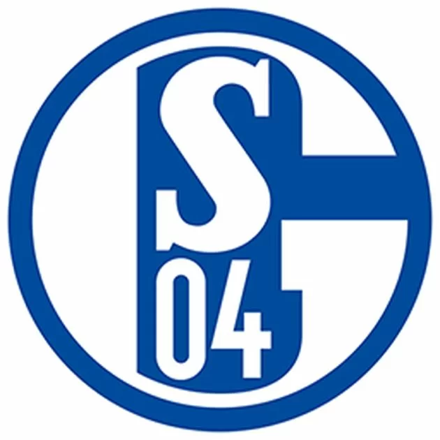 Incredibile in Germania: un tifoso dello Schalke 04 denuncia l’arbitro!
