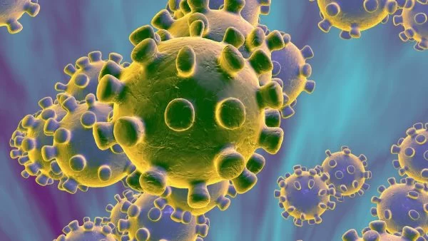 Emergenza Coronavirus, in India una coppia chiama i suoi gemelli Covid e Corona