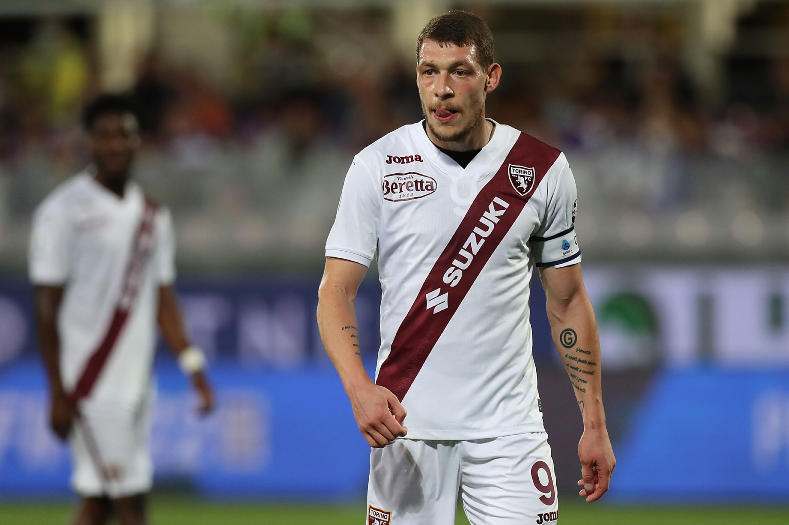 Belotti