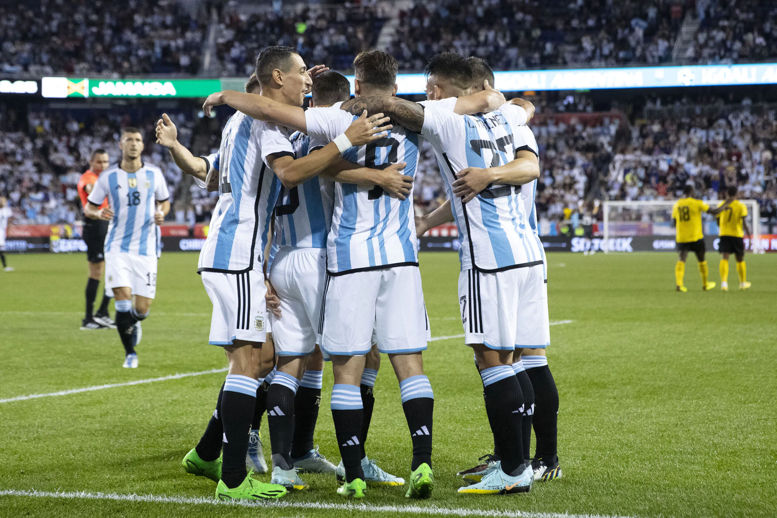 Argentina, Scaloni costretto a rinunciare ad un top per il Mondiale: le condizioni
