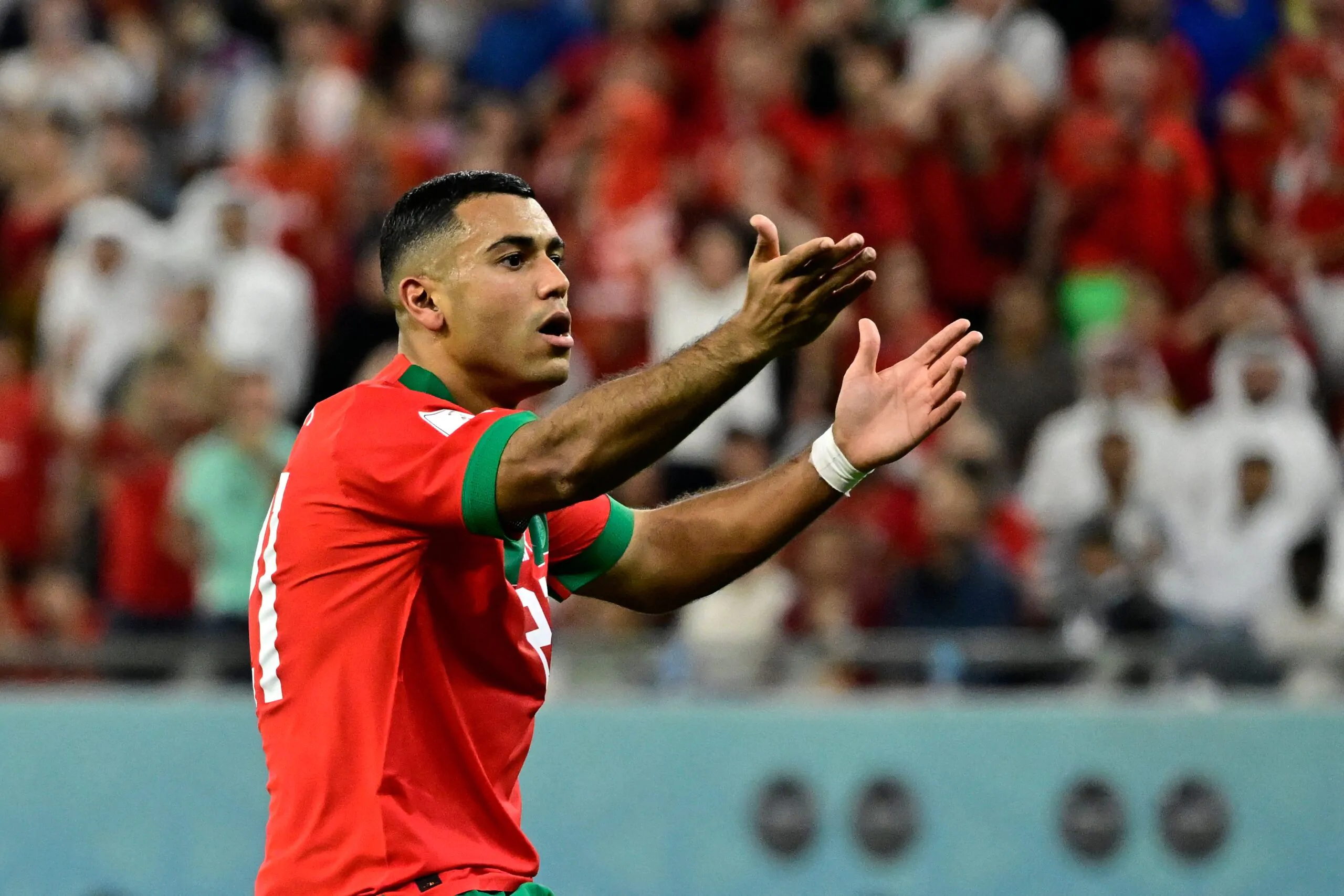 Dalla D ai Mondiali, Cheddira sfida il Portogallo: “Non sono favoriti!”