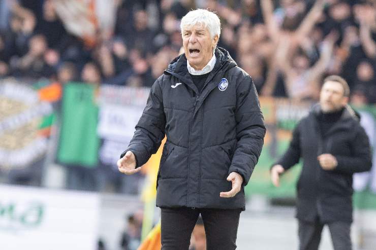 Gasperini 