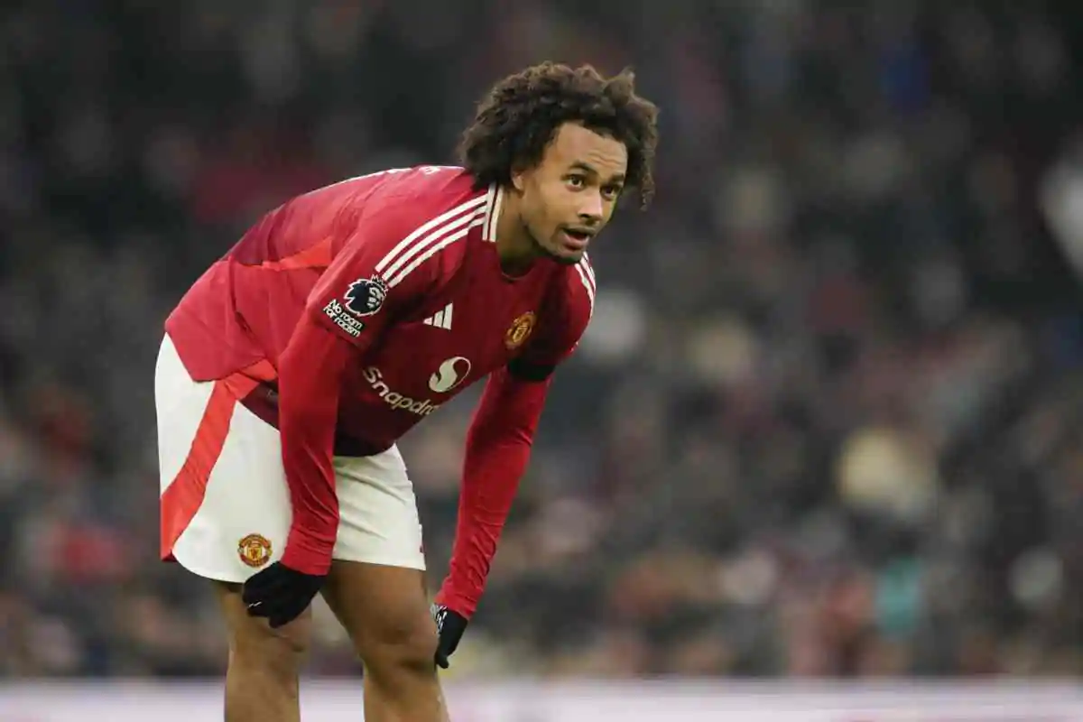 Zirkzee in campo