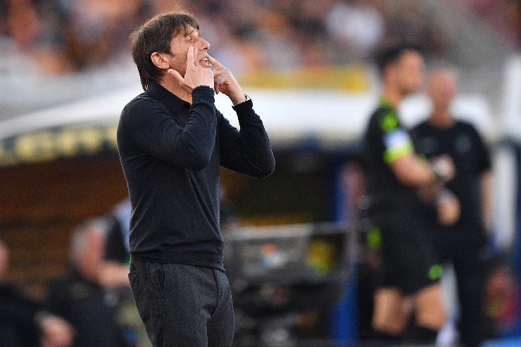 Conte