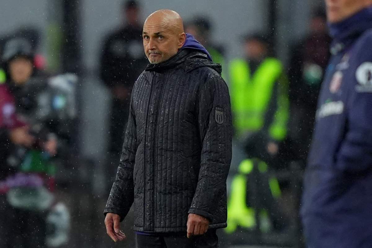 nazionale allo sbaraglio spalletti sulla graticola gravina ha già scelto il sostituto