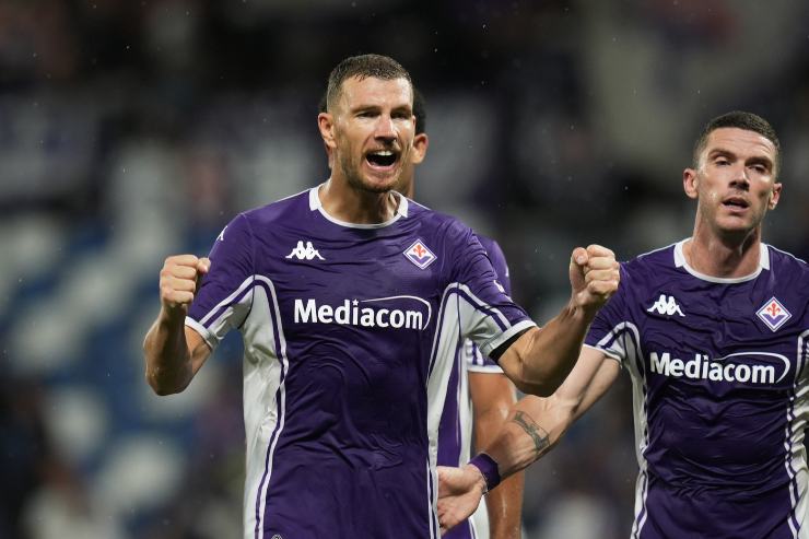 Dzeko esulta