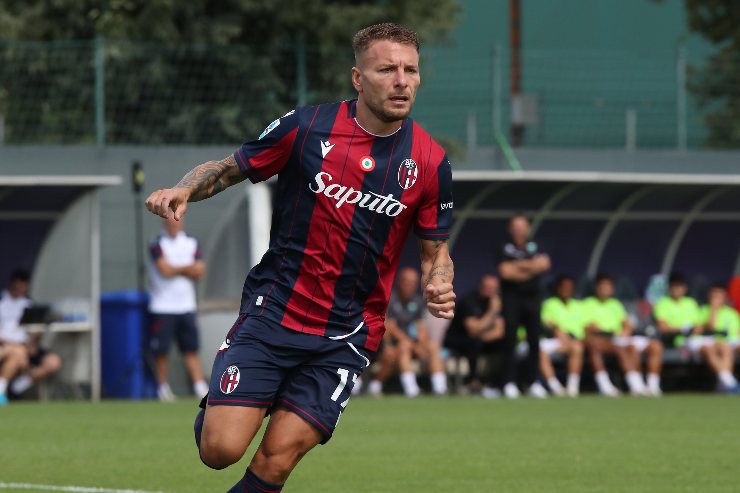 Immobile in campo