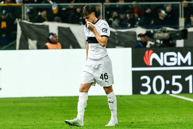 Leoni in campo