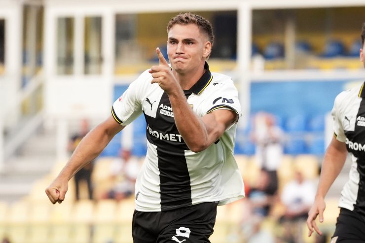 Pellegrino in campo