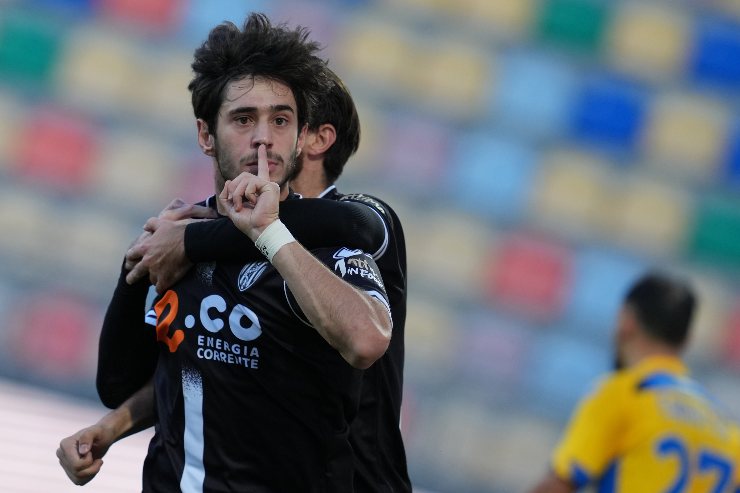 Shpendi in campo