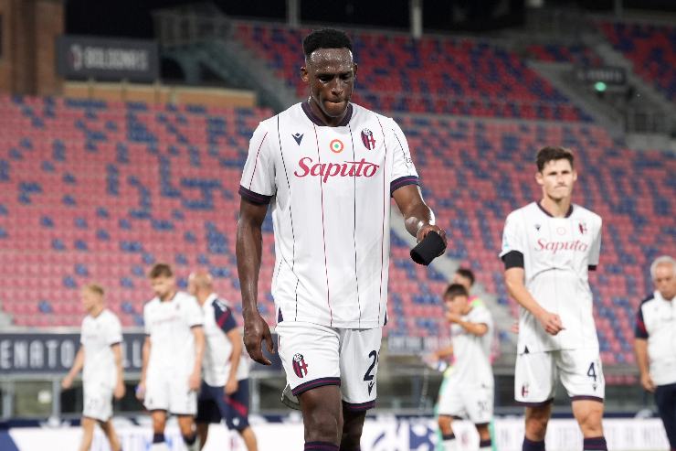 Lucumì in campo